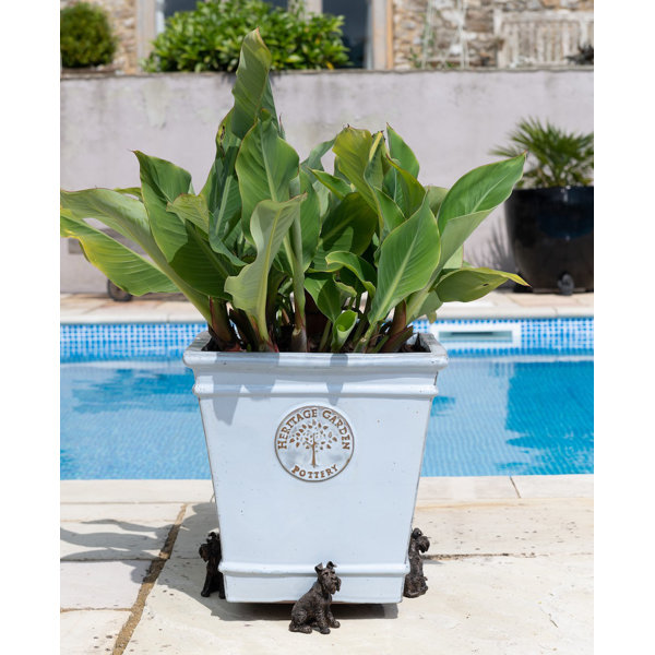 Winston Porter Laymantown Planter Feet & Reviews Wayfair